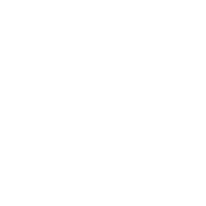 MEPEUROPE | Model European Parliament Logo
